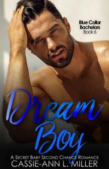 Dream Boy Dream Boy