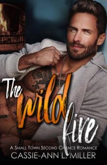 The Wild Fire: A Small Town Second Chance Romance