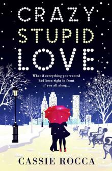 Crazy Stupid Love (Blame it on New York) Crazy Stupid Love (Blame it on New York)