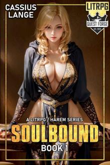 Soulbound 1: A Fantasy LitRPG Harem Series