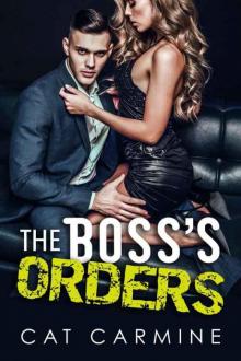 The Boss's Orders: Alpha Male Billionaire Office Romance