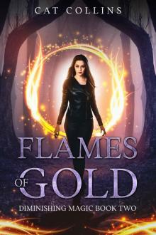 Flames of Gold (Diminishing Magic Book 2)