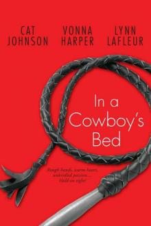 In a Cowboy’s Bed In a Cowboy’s Bed