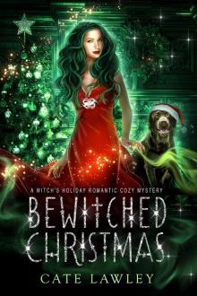 Bewitched Christmas Bewitched Christmas