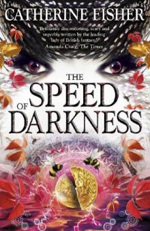 The Speed of Darkness