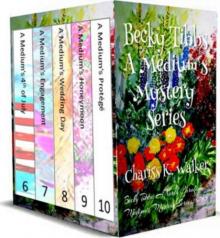 Becky Tibbs: A Medium's Mystery Series, Books 6-10 : A Cozy Ghost Mystery series Becky Tibbs: A Medium's Mystery Series, Books 6-10 : A Cozy Ghost Mystery series