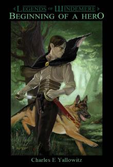 Beginning of a Hero (Legends of Windemere)