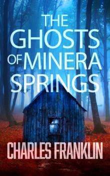 The Ghosts of Minera Springs: A Novel