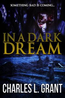 In a Dark Dream