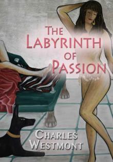 The Labyrinth of Passion (romantic experiences)