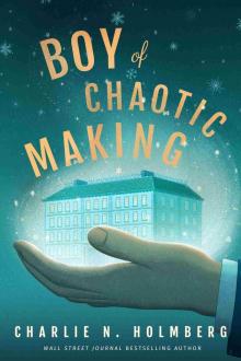Boy of Chaotic Making (Whimbrel House)