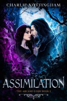 Assimilation Part I: The Arcane Gods Book 1