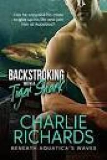 Backstroking With a Tiger Shark Backstroking With a Tiger Shark