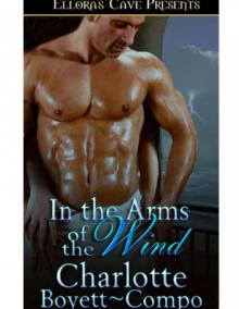In the Arms of the Wind by Charlotte Boyett-Compo
