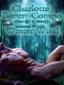 Seasonal Winds: Winter Wind