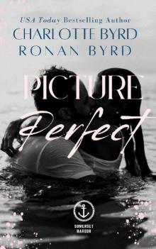 Picture Perfect: A Somerset Harbor Novel (Cargill Brothers Book 3)