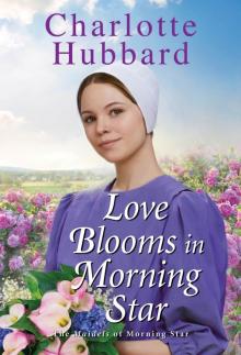 Love Blooms in Morning Star Love Blooms in Morning Star
