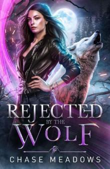 Rejected by the Wolf: A Rejected Mates Romance