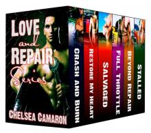 Love and Repair Series Box Set Love and Repair Series Box Set