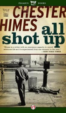 All shot up cjagdj-5