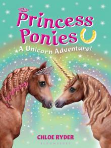 A Unicorn Adventure!