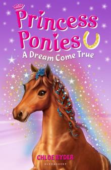 Princess Ponies 2