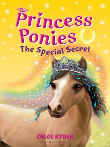 The Special Secret