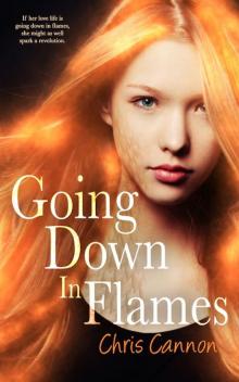 Going Down in Flames (Entangled Teen)
