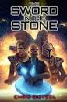 The Sword In The Stone
