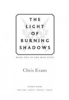 The Light of Burning Shadows: Book Two of the Iron Elves