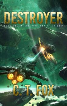 Destroyer (The Void Wraith Trilogy Book 1)