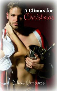 A Climax for Christmas (A Holiday Romance Novella)