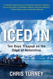 Iced In
