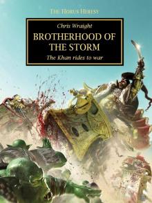 Brothers of the Storm