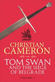 Tom Swan and the Head of St George: Part Seven