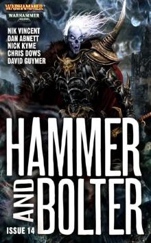 Hammer and Bolter 14