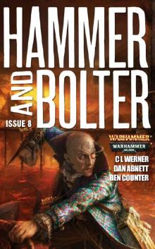 Hammer and Bolter 8