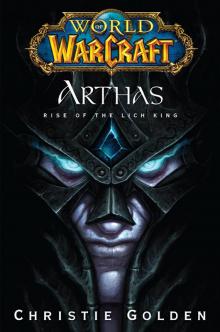 Arthas: Rise of the Lich King wow-6