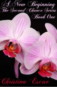 A New Beginning (The Second Chance Series Book 1)