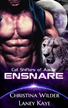 CAT SHIFTERS OF AAIDAR: ENSNARE: (A Sci-fi Alien Romance, Book 3)