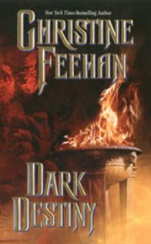 Dark Destiny (Dark Series - book 13)