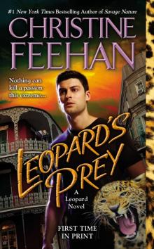 L06 Leopard's Prey