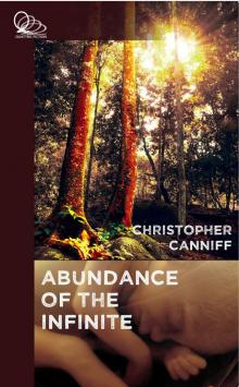 The Abundance of the Infinite The Abundance of the Infinite