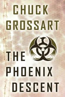 The Phoenix Descent