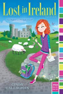 Lost in Ireland Lost in Ireland