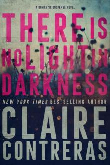 There is No Light in Darkness (Darkness #1)