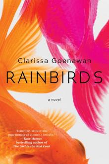 Rainbirds Rainbirds