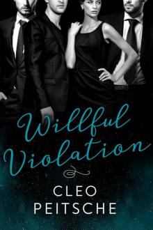 Willful Violation (Lawyers Behaving Badly Book 3) Willful Violation (Lawyers Behaving Badly Book 3)