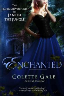 Enchanted: A New Love (The Erotic Adventures of Jane in the Jungle Book 8)