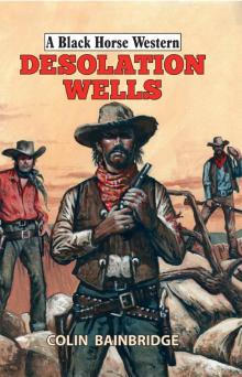 Desolation Wells Desolation Wells